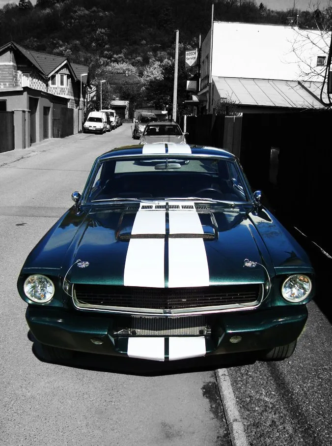 Ford Mustang GT350 Tribute