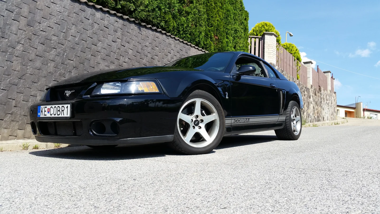 Ford Mustang SVT Cobra